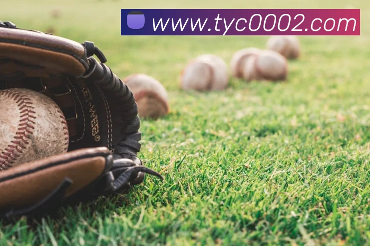 太阳城官网服务体系